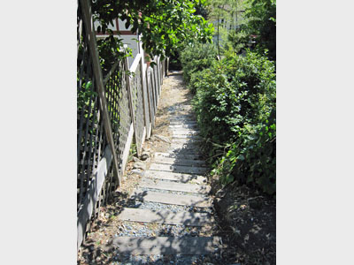 Stevenson Path in Berkeley