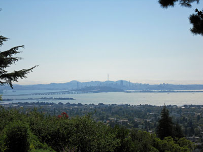 A view from Codornices Park