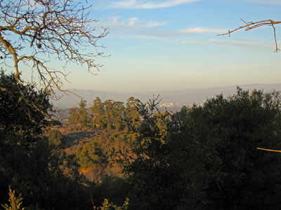 Downtown San José as seen from one of Los Gatos hills