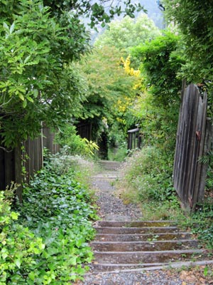 Some of Mill Valley stairs