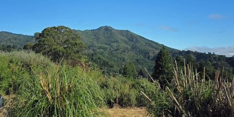 Mount Tamalpais, seen from Mill Valley