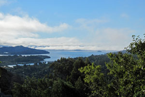 Richardson Bay, seen from Panoramic Highway above Mill Valley