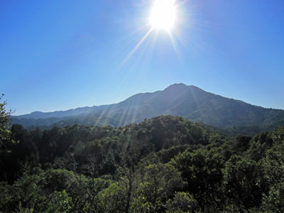 Mount Tamalpais from Blithedale Summit Open Space
