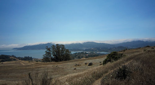 Mill Valley, seen from Ring Mountain Open Space