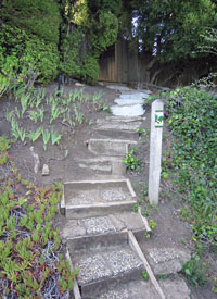 Mirabel Avenue steps