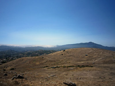 Mount Tamalpais, seen from Ring Mountain Open Space