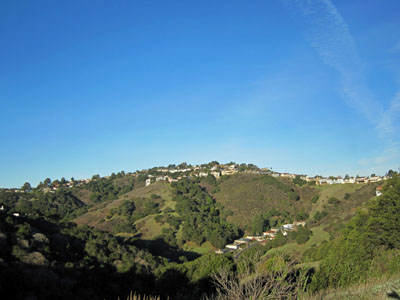 A view towards Big Canyon Park